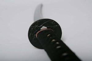 Tokugawa-Ieyasu-Katana
